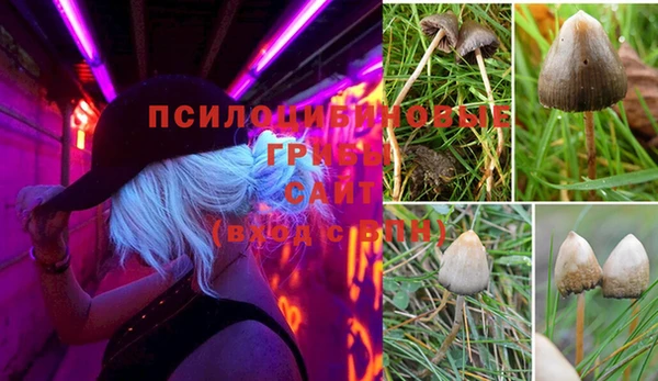меф VHQ Богородск