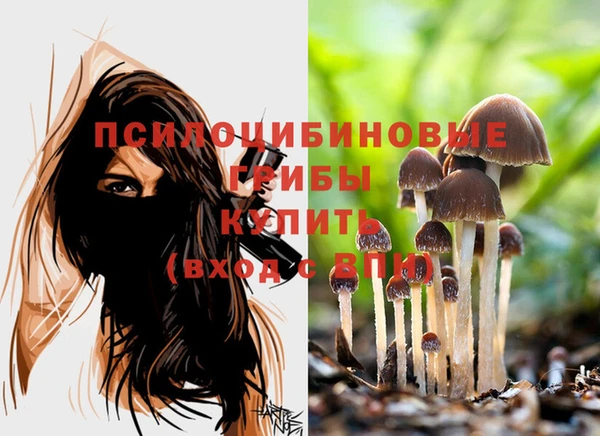 PSILOCYBIN Балабаново