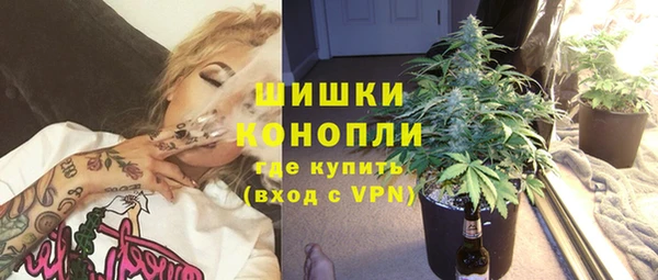 PSILOCYBIN Балабаново