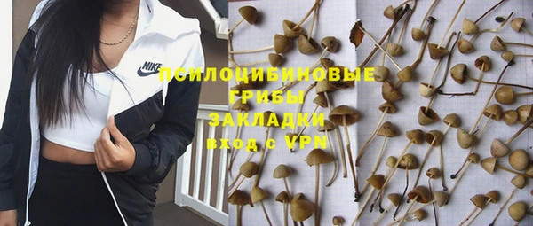 PSILOCYBIN Балабаново