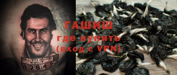 PSILOCYBIN Балабаново